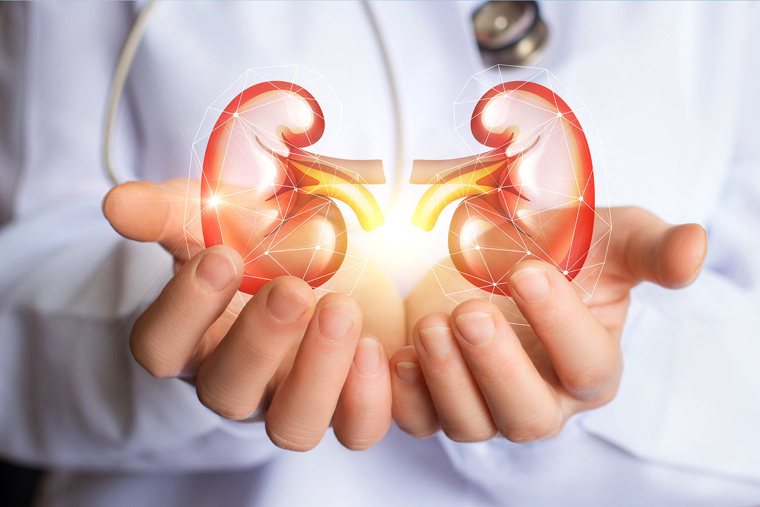 CBD Oil Side Effects on Kidneys: Everything To Know